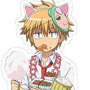 Meet your Posher, Ariel